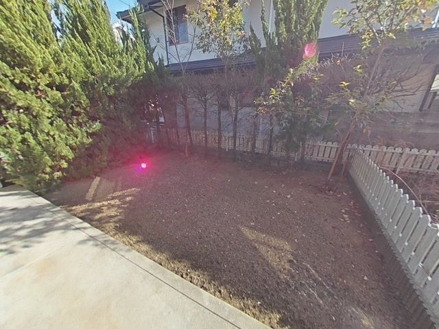 庭