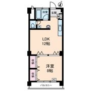 ステラ コート 大山の間取り画像