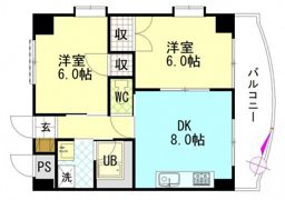 PaddyⅢの間取り画像