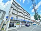 ダルマックスビルの間取り画像