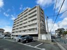 秋桜中間の間取り画像