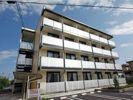 レオパレスニューセレッソの間取り画像