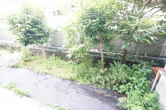 庭