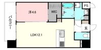Credo in te minamiedoの間取り画像