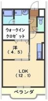フォレスタIIIの間取り画像