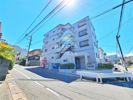 シャトレ小松の間取り画像