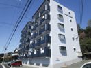 メゾン池の沢の間取り画像