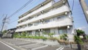 youngleavesの間取り画像