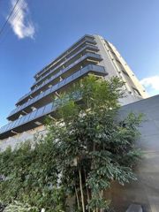 スプレスター綾瀬の外観画像