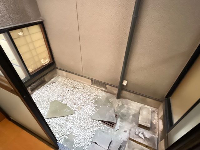 庭