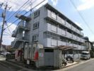 辰巳ハイツの間取り画像