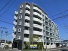 シエナ仙台Ⅲの間取り画像