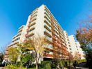 Brillia ist 三軒茶屋 アイビーテラスの外観