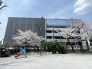 ヴァローレクオリタ池袋の間取り画像