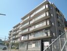 グレイスハイツⅤの間取り画像