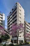 コンシェリア横濱関内の間取り画像