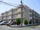 野中第3マンションの間取り画像