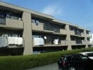 蜆塚ハイムBの間取り画像