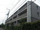 ステラメゾン下北沢の外観