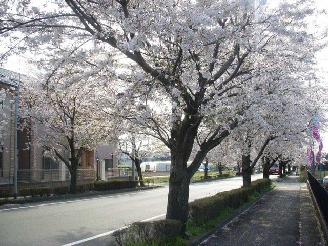 近くに施設あり