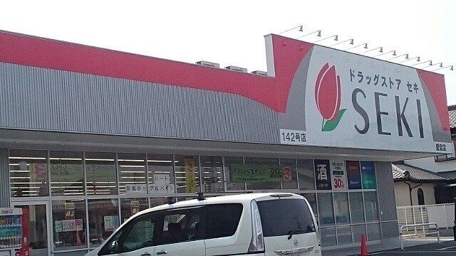 ドラッグストアセキ愛宕店まで800m