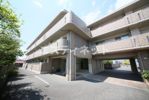 サンライズ新舞子の間取り画像