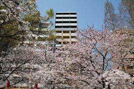 Cherry Hillsの外観画像