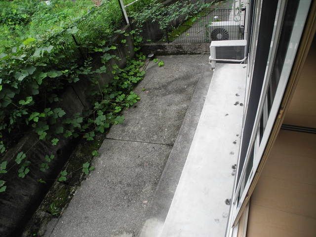 庭