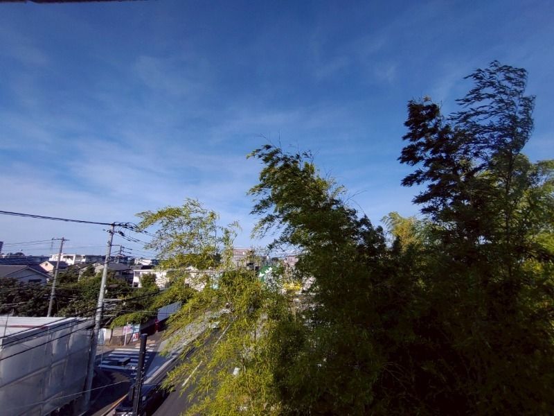 眺望