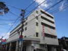 メゾン富士見ヶ丘の間取り画像