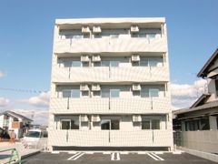 レモンバームの外観画像