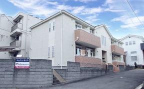 ドムスソラリスの外観画像