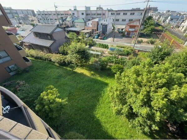 庭