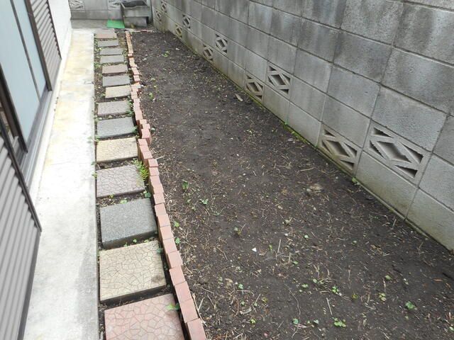 庭