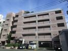 ピエス白山の間取り画像