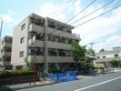 日神パレス上石神井の間取り画像