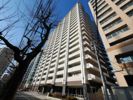 ポレスタータワー大手町リーモ 702号室の間取り画像