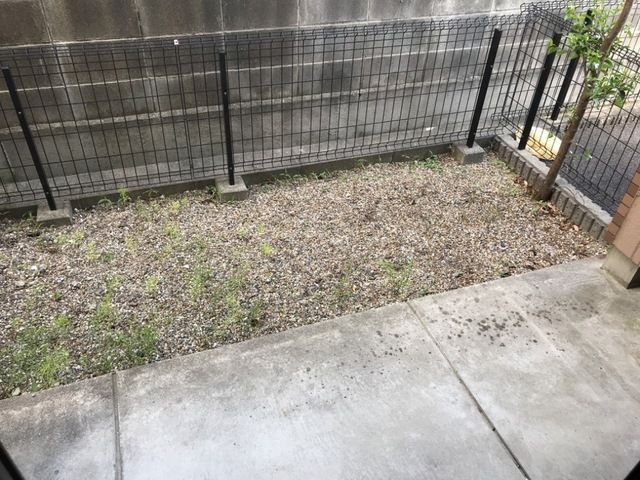 庭