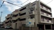 ドリーム池見の間取り画像