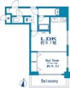 藤和渋谷コープⅡの間取り画像