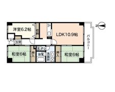 ソフィアコート井口台の間取り画像