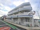 スカイパレスの間取り画像