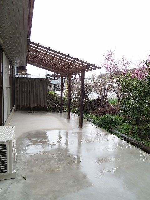 庭