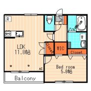 Maison Raffineの間取り画像