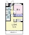 グラン クレシアの間取り画像