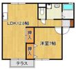 セジュールさなえの間取り画像