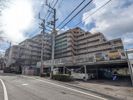 サーパス衣山壱番館の間取り画像