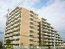 エクセル市川の間取り画像