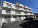 コスモ根岸ヒルウエストの間取り画像