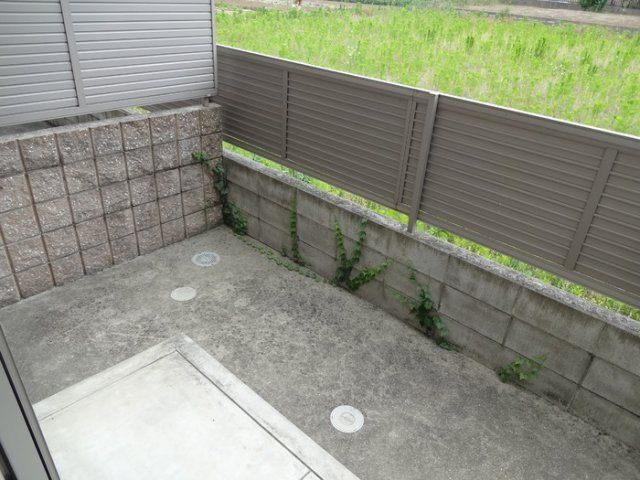 庭